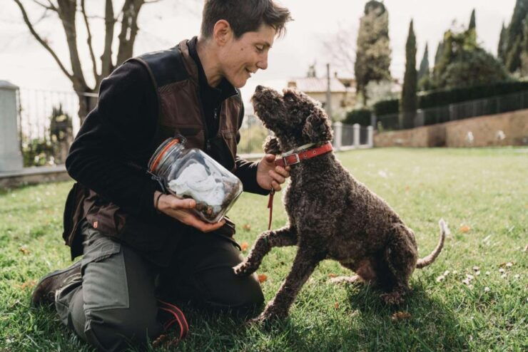 Truffle Hunt in Chianti and Cooking Class With Sunset Dinner - Good To Know