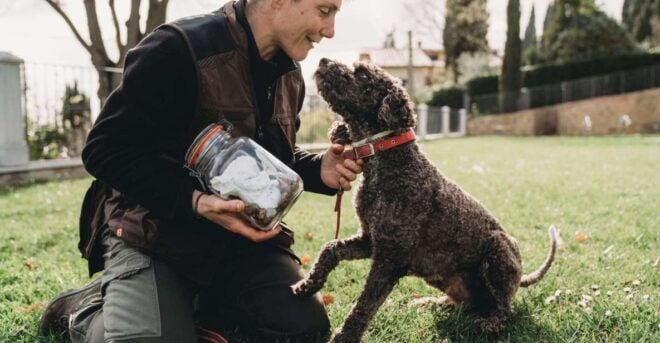 Truffle Hunt in Chianti and Cooking Class With Sunset Dinner - Highlights of the Experience