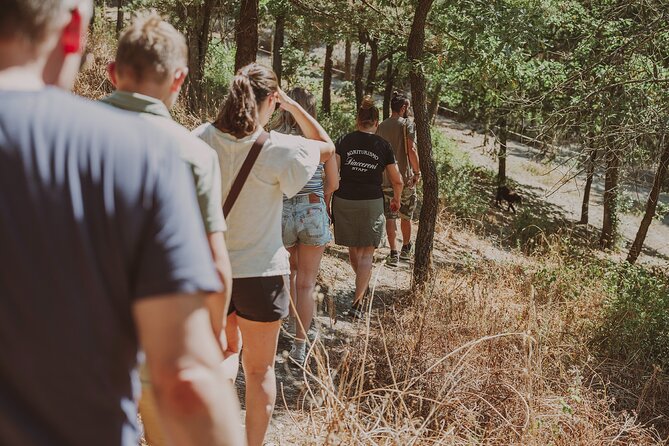 Truffle Hunt in Tuscany - Common Questions