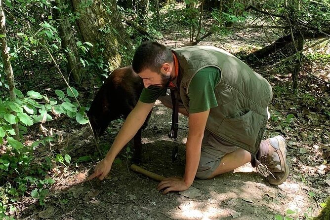 Truffle Hunting Adventure - Inclusions and Logistics