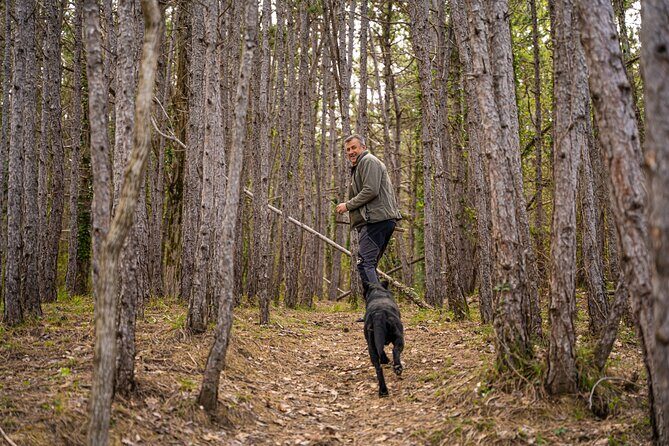 Truffle Hunting and 3-course Truffle Brunch in Motovun - Good To Know