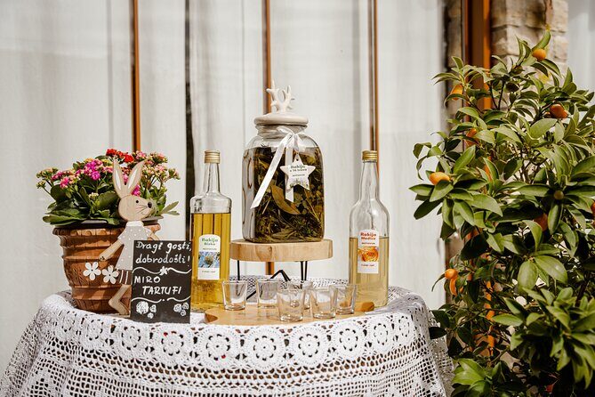 Truffle Hunting and 3-course Truffle Brunch in Motovun - Who Should Book This Experience?