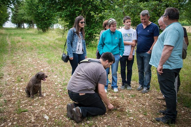 Truffle Hunting and Tasting Experience  - Beaune - Truffle Hunting Experience