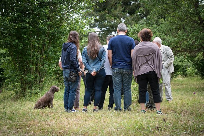 Truffle Hunting and Tasting Experience  - Beaune - Expectations and Participation Requirements
