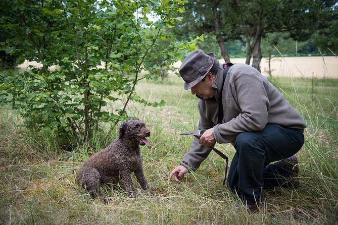 Truffle Hunting and Tasting Experience  - Beaune - Cancellation Policy and Weather Conditions