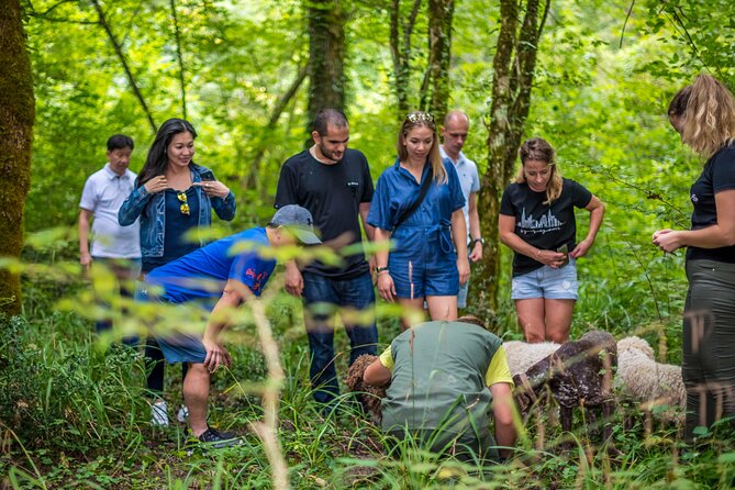 Truffle Hunting & Cooking Tour - Sample Menu Highlights