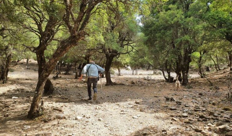 Truffle Hunting, Culinary & Wine Celebration From Elounda - Experience