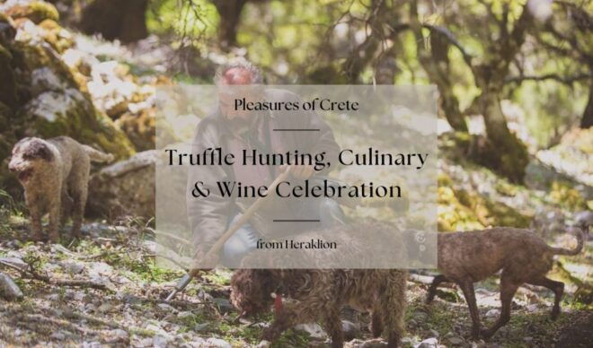 Truffle Hunting, Culinary & Wine Celebration From Heraklion - Cooking Demonstration and Local Flavors