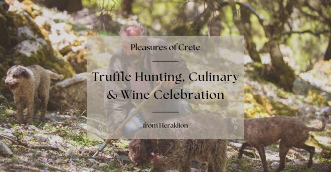 Truffle Hunting, Culinary & Wine Celebration From Heraklion - Wine Celebration and Return to Accommodation