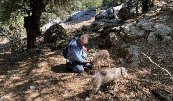 Truffle Hunting, Culinary & Wine Celebration From Heraklion - Common Questions