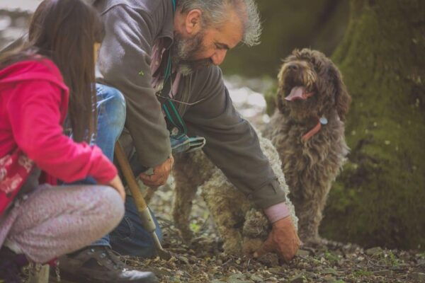 Truffle Hunting, Culinary & Wine Celebration From Heraklion - The Sum Up
