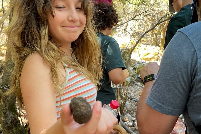 Truffle Hunting, Culinary & Wine Celebration From Heraklion - Meeting and Pickup