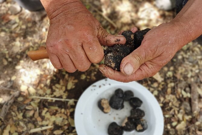 Truffle Hunting, Culinary & Wine Celebration From Heraklion - Cancellation and Refund Policy