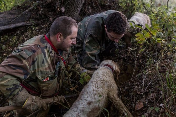 Truffle Hunting - Experience Details
