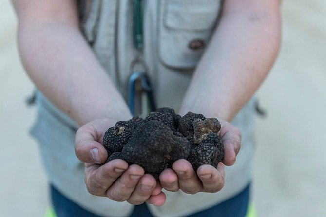 Truffle Hunting - Cancellation Policy