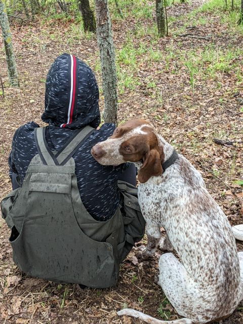 Truffle Hunting: Experience as a Truffle Hunter for a Day - Experience Description