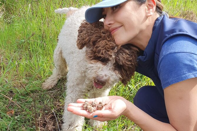 Truffle Hunting Experience in Assisi - Learn About the Fascinating World of Truffles