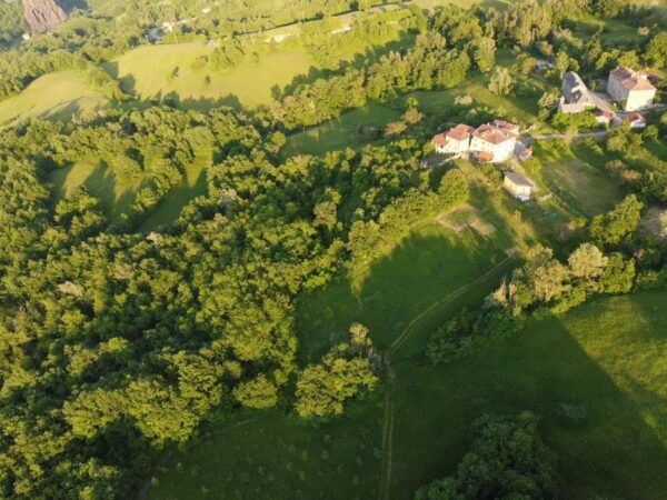 Truffle Hunting Experience Near Parma With Our Dogs - The Sum Up