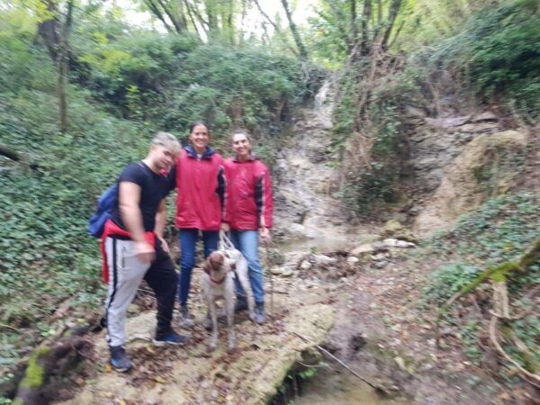 Truffle Hunting Experience With a Guide - Booking Information