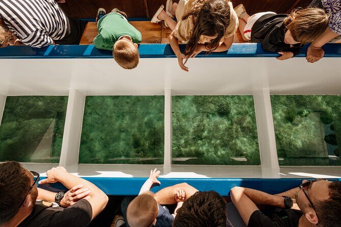 Truffle hunting for Nature Enthusiasts - FAQ