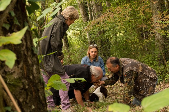 Truffle Hunting Gourmet Tasting (Transfer Included) - Sample Menu Delights