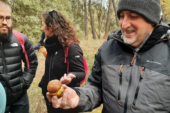 Truffle Hunting Group Tour in Serrania De Cuenca National Park  - Castilla-La Mancha - Tour Overview and Activities