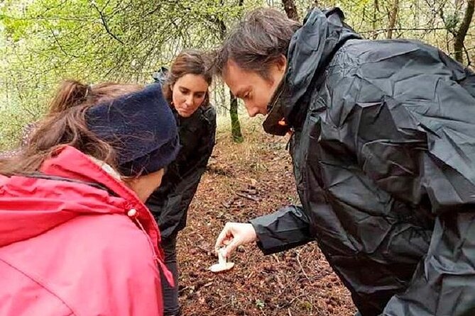 Truffle Hunting Group Tour in Serrania De Cuenca National Park  - Castilla-La Mancha - Directions