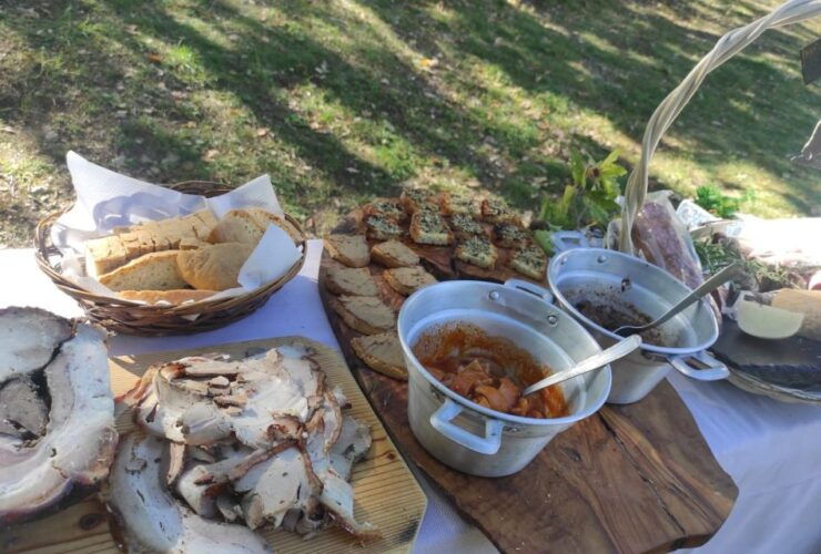 Truffle Hunting Guide Tour With Lunch - Tour Details