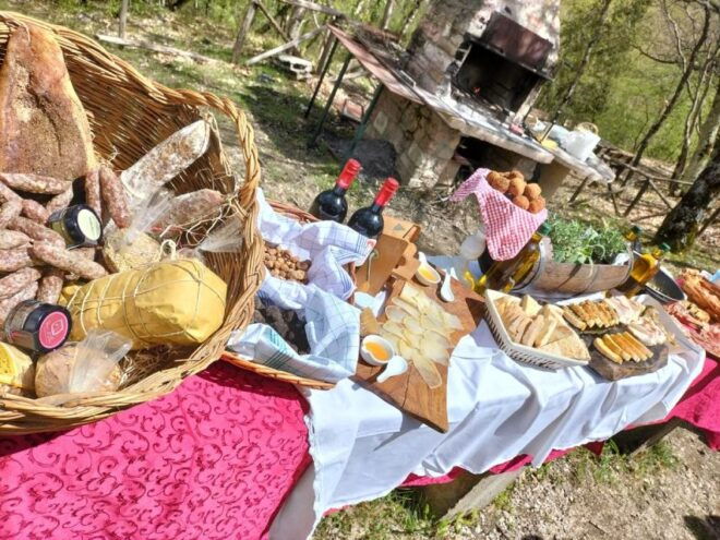 Truffle Hunting Guide Tour With Lunch - Frequently Asked Questions