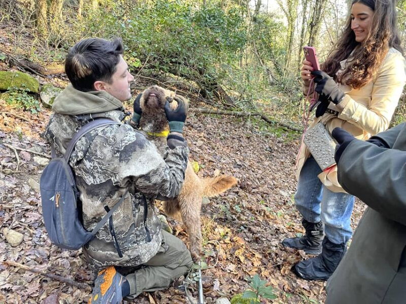 Truffle hunting in Chianti with pasta cooking class & lunch - Truffle Hunting in Chianti with Pasta Cooking Class & Lunch: A Deep Dive into Tuscanys Flavors