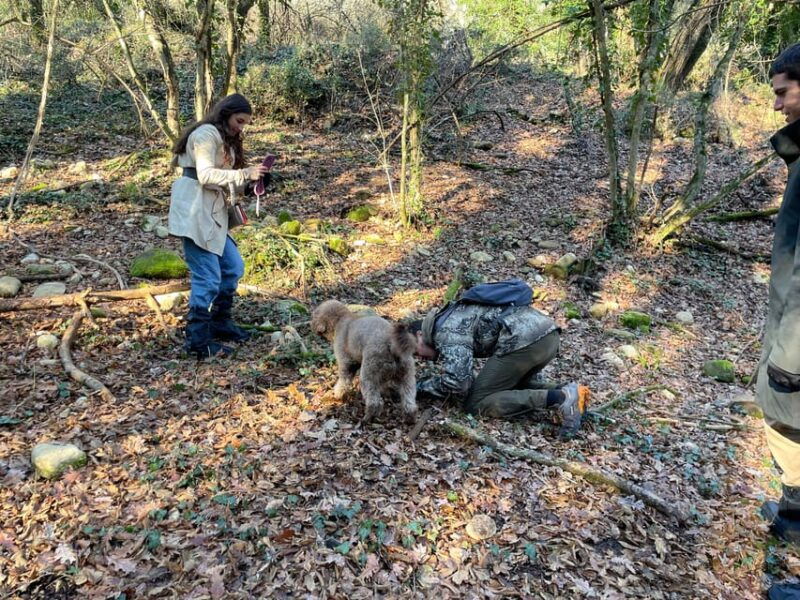 Truffle hunting in Chianti with pasta cooking class & lunch - A Closer Look at the Experience