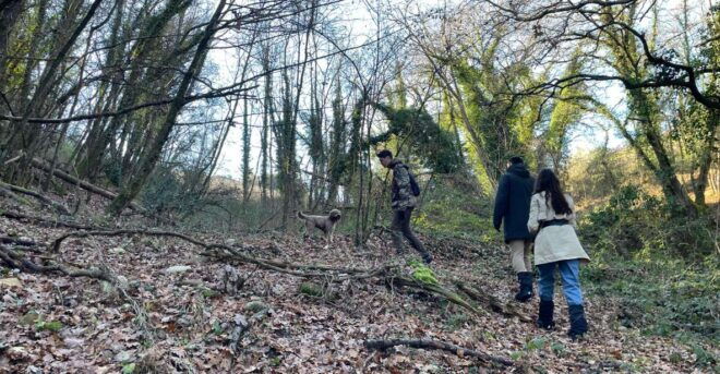 Truffle Hunting in Chianti With Pasta Cookingclass and Lunch - Included Experiences