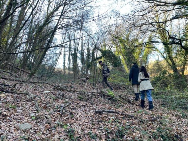 Truffle Hunting in Chianti With Pasta Cookingclass and Lunch - The Sum Up