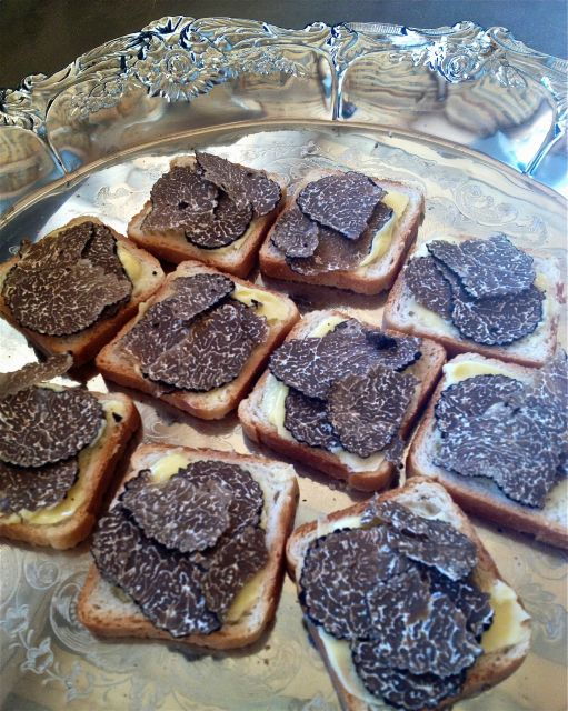 Truffle Hunting in Provence - Customer Reviews and Recommendations