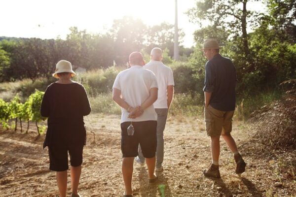 Truffle Hunting in Provence - Common Questions