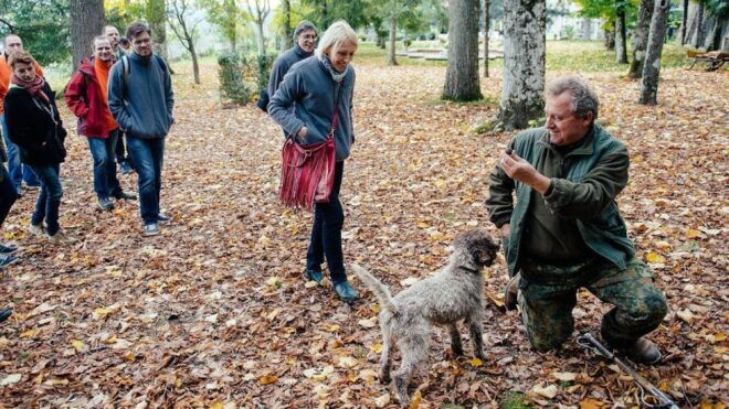 Truffle Hunting In The Hills Of Tuscany - Uncover the World of Truffles