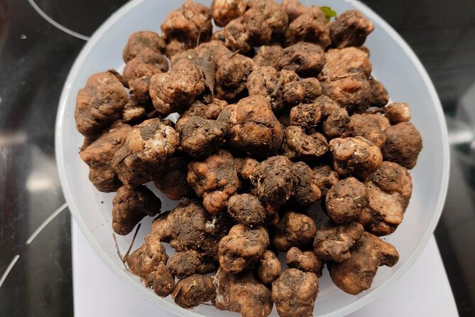 Truffle Hunting in the Sicani Mountains: a Unique Experience in Sicily - Truffle Hunting: A Rare Opportunity