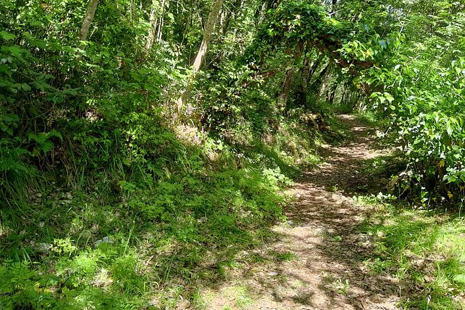 Truffle Hunting in the Sicani Mountains: a Unique Experience in Sicily - Unforgettable Memories in the Sicani Mountains