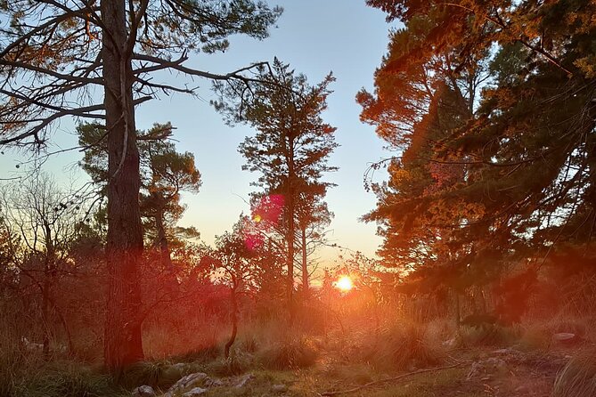 Truffle Hunting in the Sicani Mountains: a Unique Experience in Sicily - Common Questions