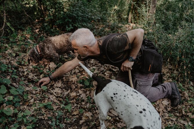 Truffle Hunting in Tuscany - Whats Included