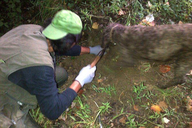 Truffle Hunting in Tuscany: Private Shore Excursion From Livorno Port - The Sum Up