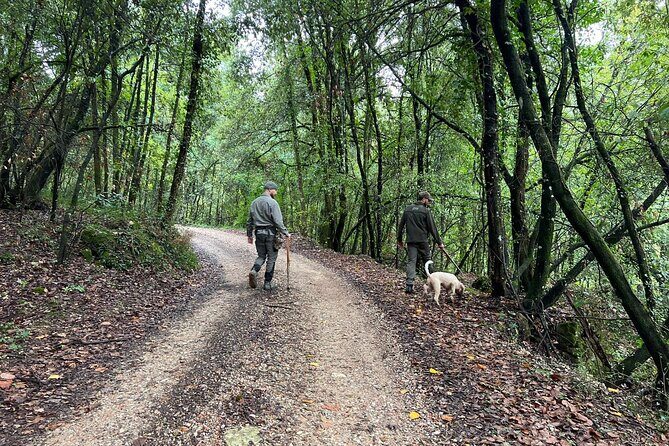 Truffle Hunting, Lunch & Cooking Class in Rome's Countryside - Final Word