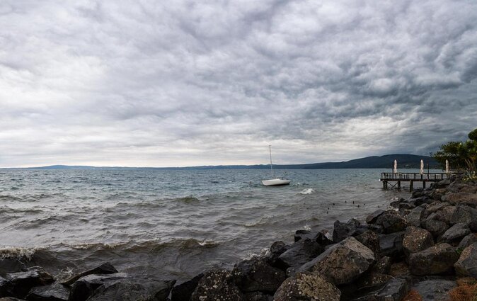 Truffle Hunting on Lake Bracciano With Lunch - A Unique Culinary Experience