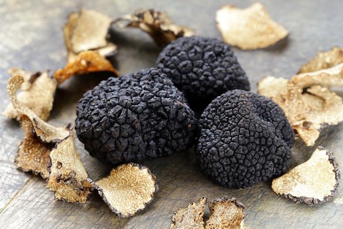 Truffle Hunting With Tasting Included - Umbria, Italy - Location and Sample Menu Details