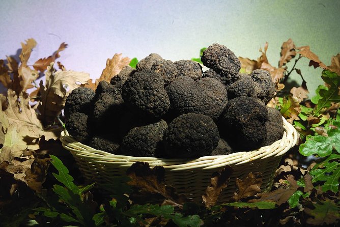 Truffle Hunting With Tasting Included - Umbria, Italy - Inclusions and Meeting Point Information
