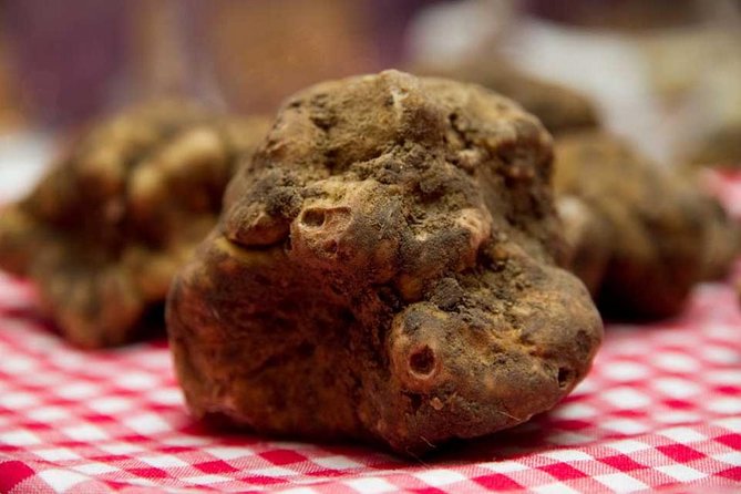 Truffle Hunting With Tasting Included - Umbria, Italy - Additional Booking Information