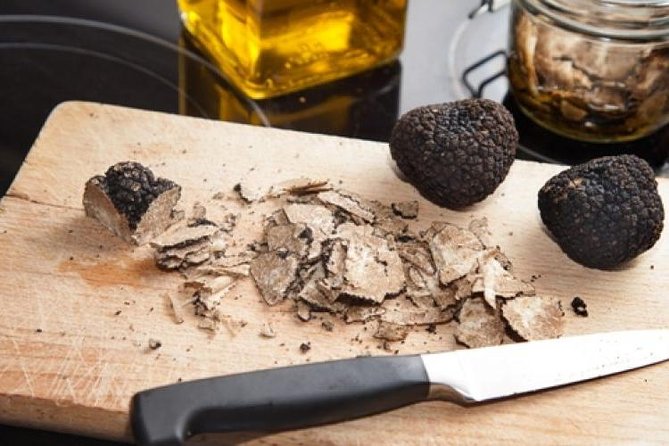 Truffle Hunting With Tasting Included - Umbria, Italy - Operator and Cancellation Policy