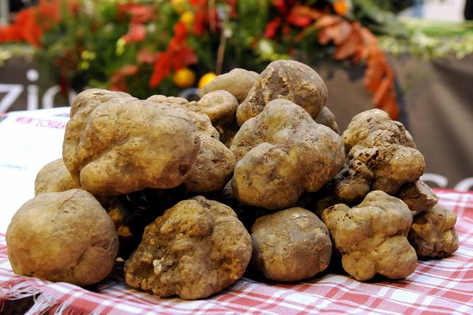 Truffle Hunting With Tasting Included - Umbria, Italy - Price and Lowest Price Guarantee