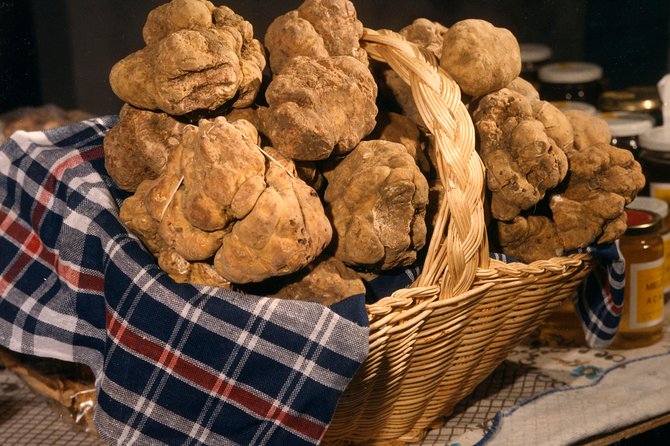 Truffle Hunting With Tasting Included - Umbria, Italy - Frequently Asked Questions