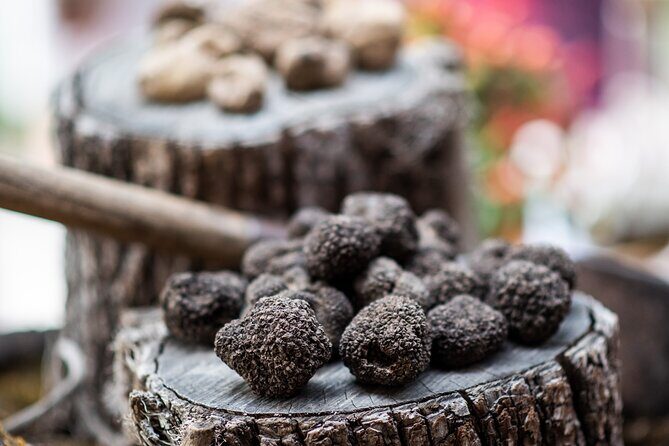 Truffle Hunting with Three Course Meal by Local Family - Why This Tour Is a Great Choice